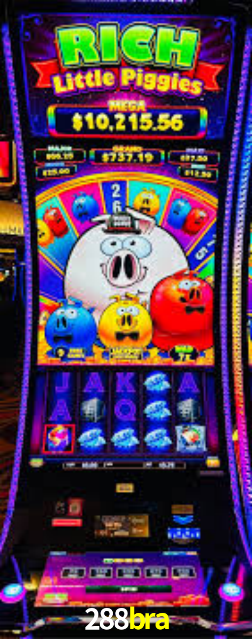 288bra App Interface